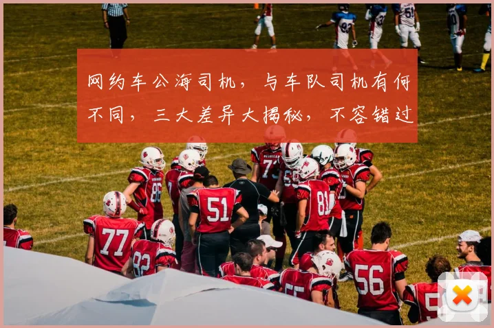 网约车公海司机，与车队司机有何不同，三大差异大揭秘，不容错过