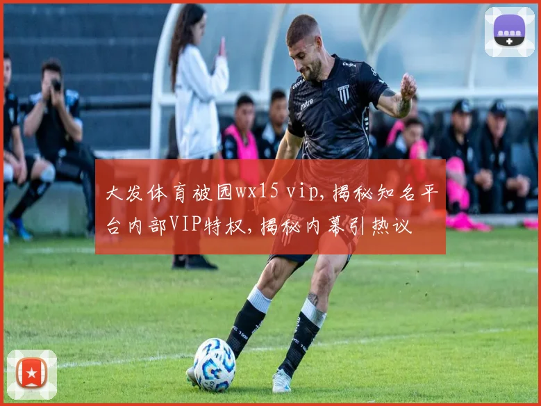 大发体育被园wx15 vip,揭秘知名平台内部VIP特权,揭秘内幕引热议