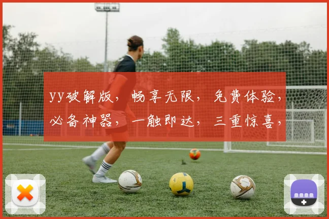 yy破解版，畅享无限，免费体验，必备神器，一触即达，三重惊喜，不容错过